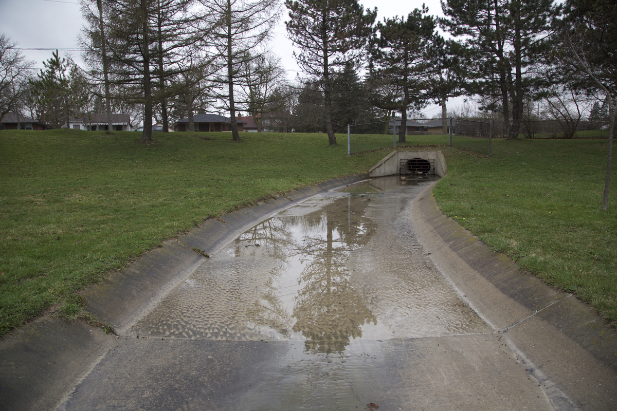 05 Bullfrog Pond Park - Capture photo 3 - Sounding the City 003 - Guelph 2018